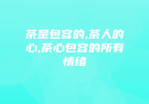 茶是包容的,茶人的心,茶心包容的所有情绪