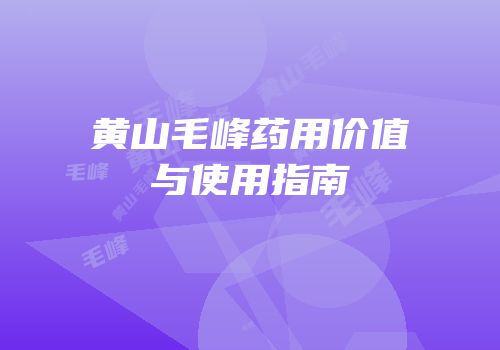 黄山毛峰药用价值与使用指南