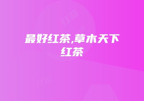 最好红茶,草木天下红茶