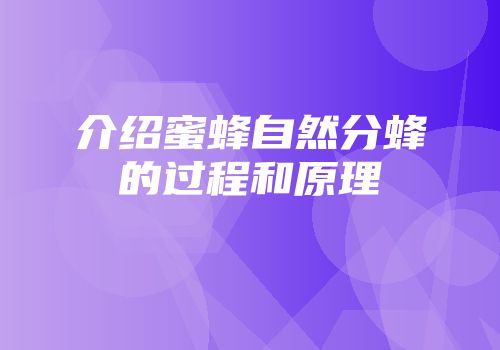介绍蜜蜂自然分蜂的过程和原理