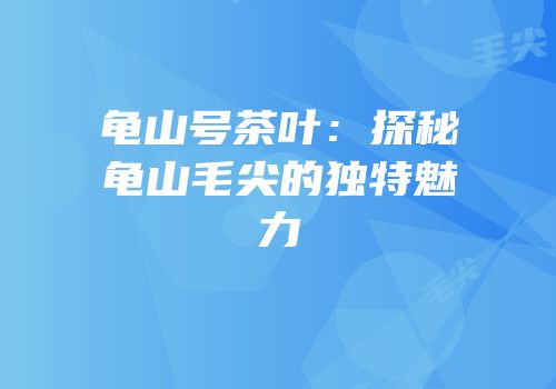 龟山号茶叶：探秘龟山毛尖的独特魅力