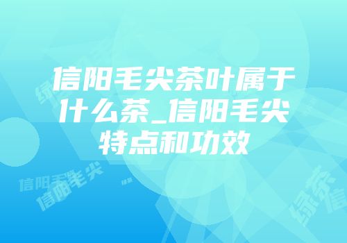 信阳毛尖茶叶属于什么茶_信阳毛尖特点和功效