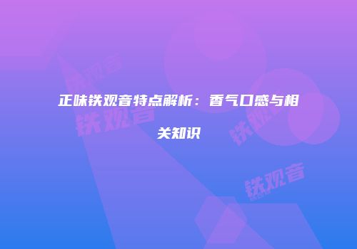 正味铁观音特点解析：香气口感与相关知识