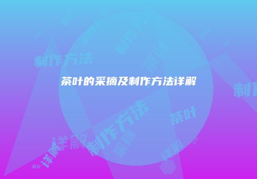 茶叶的采摘及制作方法详解