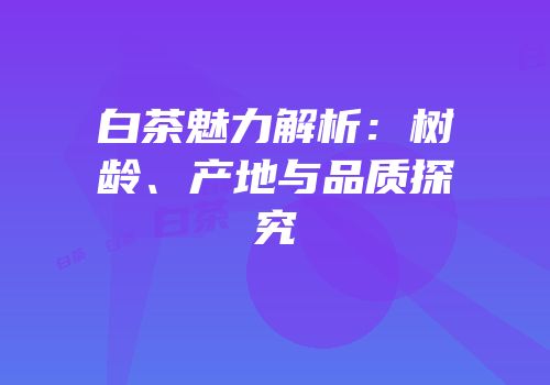 白茶魅力解析：树龄、产地与品质探究