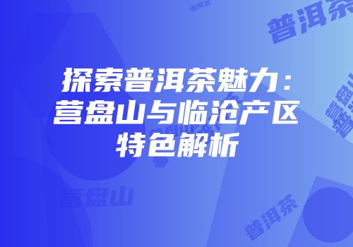 探索普洱茶魅力：营盘山与临沧产区特色解析