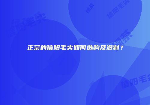正宗的信阳毛尖如何选购及泡制？