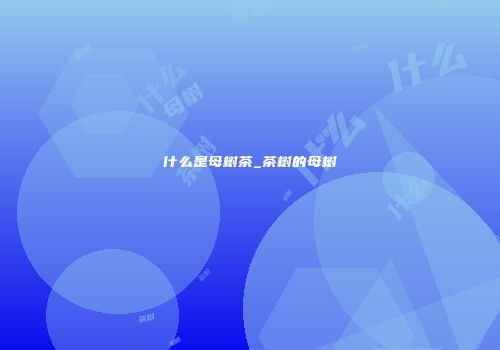 什么是母树茶_茶树的母树