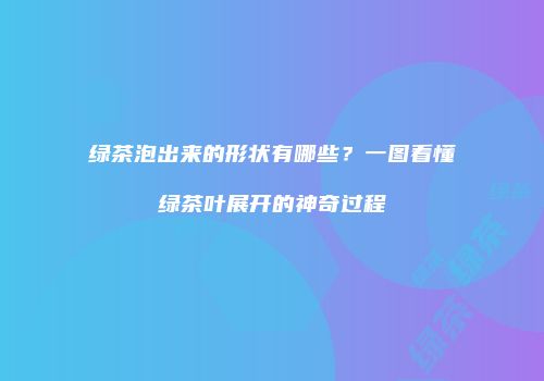 绿茶泡出来的形状有哪些？一图看懂绿茶叶展开的神奇过程