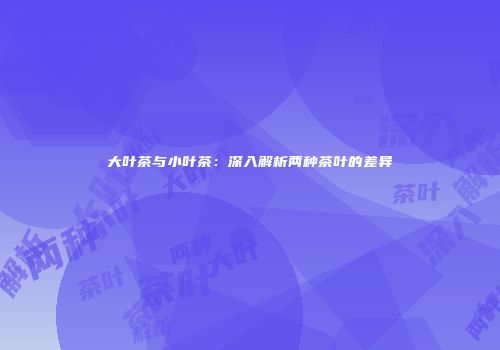 大叶茶与小叶茶：深入解析两种茶叶的差异