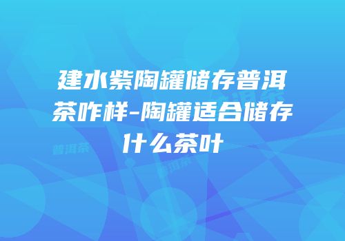 建水紫陶罐储存普洱茶咋样-陶罐适合储存什么茶叶