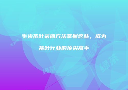 毛尖茶叶采摘方法掌握这些，成为茶叶行业的顶尖高手