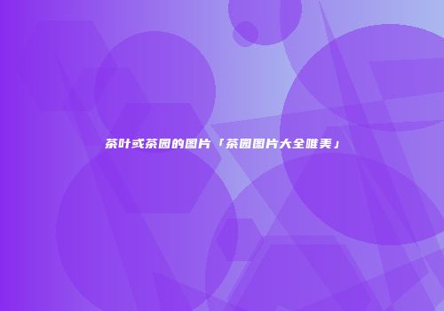 茶叶或茶园的图片「茶园图片大全唯美」