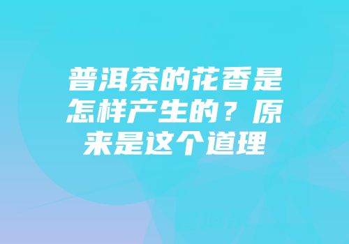 普洱茶的花香是怎样产生的？原来是这个道理