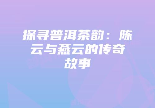 探寻普洱茶韵：陈云与燕云的传奇故事