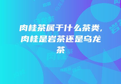 肉桂茶属于什么茶类,肉桂是岩茶还是乌龙茶