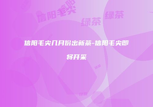 信阳毛尖几月份出新茶-信阳毛尖即将开采