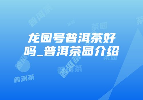 龙园号普洱茶好吗_普洱茶园介绍