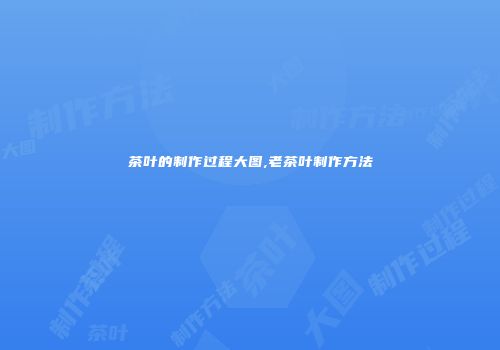 茶叶的制作过程大图,老茶叶制作方法