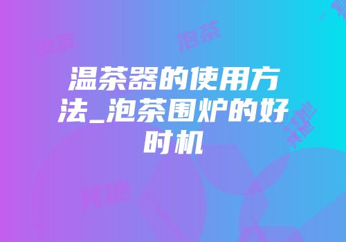 温茶器的使用方法_泡茶围炉的好时机