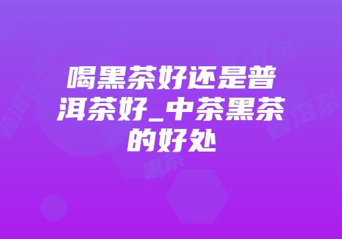 喝黑茶好还是普洱茶好_中茶黑茶的好处