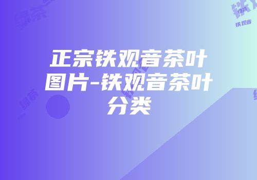 正宗铁观音茶叶图片-铁观音茶叶分类