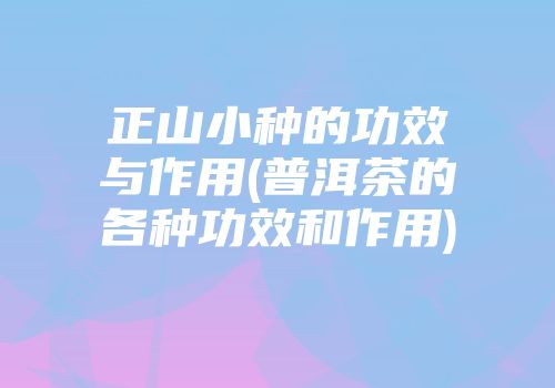 正山小种的功效与作用(普洱茶的各种功效和作用)
