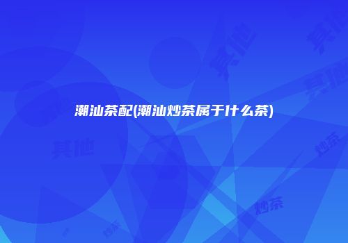 潮汕茶配(潮汕炒茶属于什么茶)