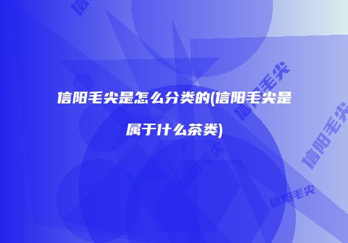 信阳毛尖是怎么分类的(信阳毛尖是属于什么茶类)
