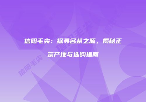 信阳毛尖：探寻名茶之源，揭秘正宗产地与选购指南