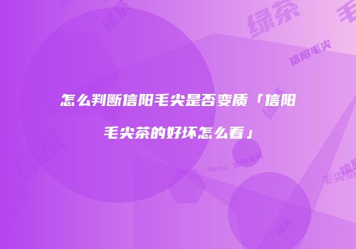 怎么判断信阳毛尖是否变质「信阳毛尖茶的好坏怎么看」