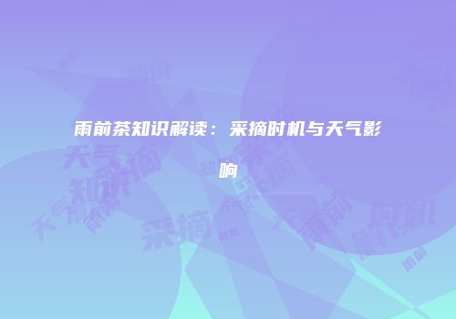 雨前茶知识解读：采摘时机与天气影响