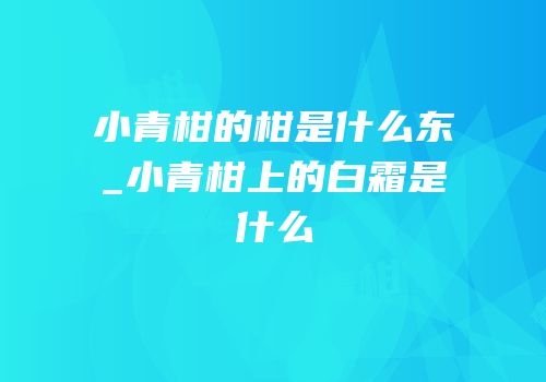 小青柑的柑是什么东_小青柑上的白霜是什么