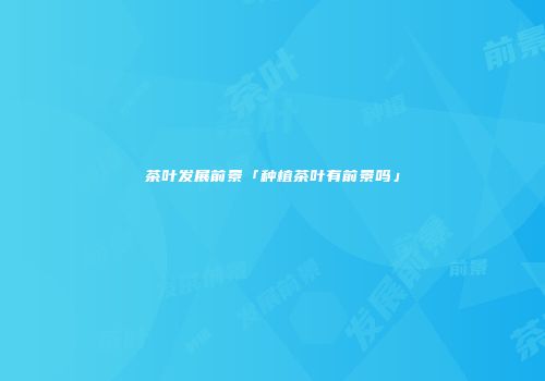 茶叶发展前景「种植茶叶有前景吗」