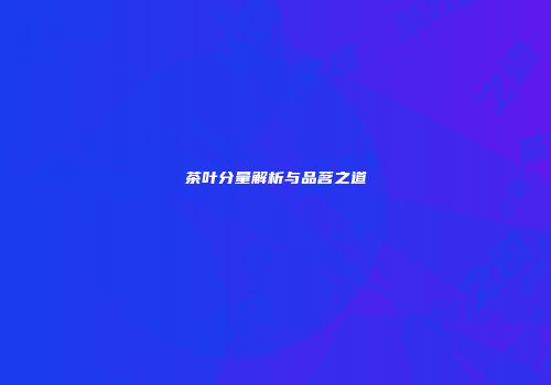 茶叶分量解析与品茗之道