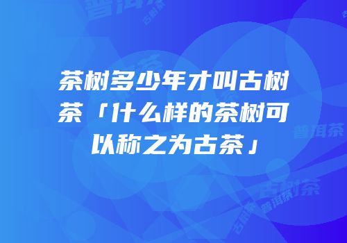 茶树多少年才叫古树茶「什么样的茶树可以称之为古茶」