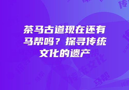茶马古道现在还有马帮吗？探寻传统文化的遗产