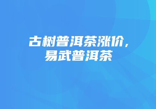 古树普洱茶涨价,易武普洱茶
