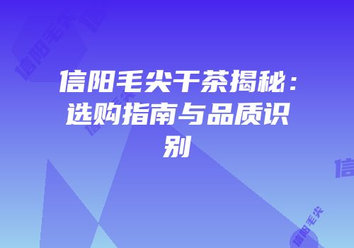 信阳毛尖干茶揭秘：选购指南与品质识别