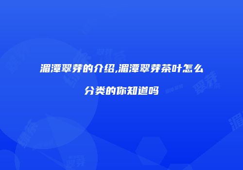 湄潭翠芽的介绍,湄潭翠芽茶叶怎么分类的你知道吗