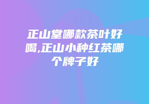 正山堂哪款茶叶好喝,正山小种红茶哪个牌子好
