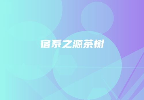 宿系之源茶树