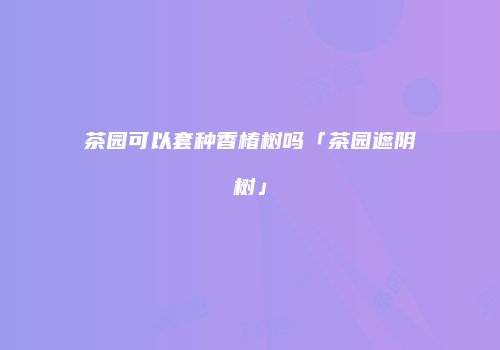 茶园可以套种香椿树吗「茶园遮阴树」