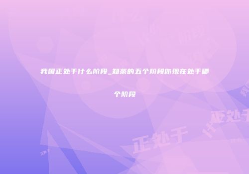 我国正处于什么阶段_知茶的五个阶段你现在处于哪个阶段
