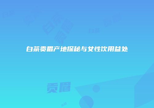 白茶贡眉产地探秘与女性饮用益处