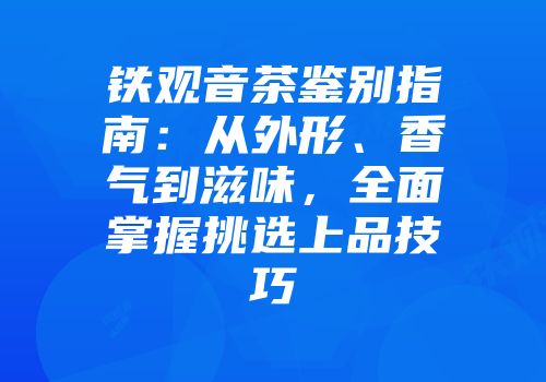铁观音茶鉴别指南：从外形、香气到滋味，全面掌握挑选上品技巧