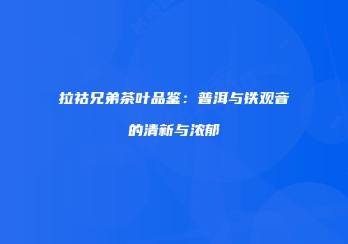 拉祜兄弟茶叶品鉴：普洱与铁观音的清新与浓郁