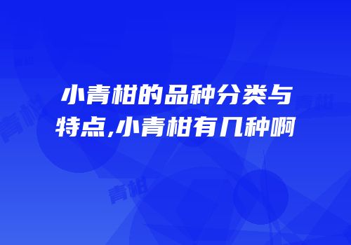 小青柑的品种分类与特点,小青柑有几种啊