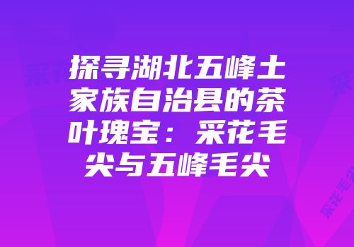 探寻湖北五峰土家族自治县的茶叶瑰宝：采花毛尖与五峰毛尖