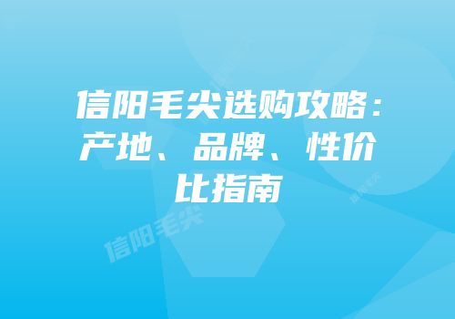信阳毛尖选购攻略：产地、品牌、性价比指南